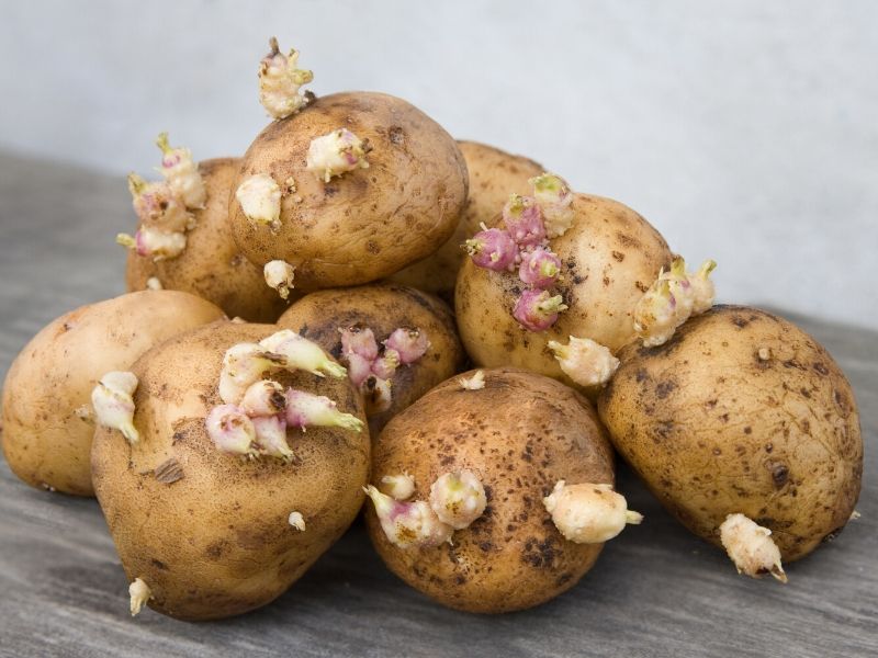 Cómo conservar patatas peladas